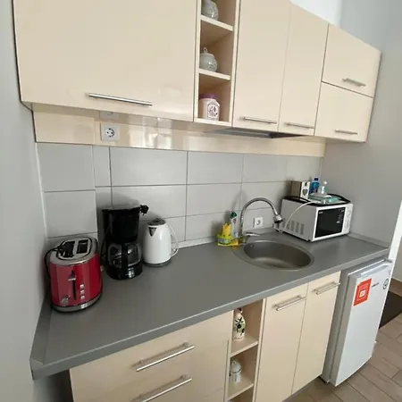 公寓 Sunshine Apartament De Silva 马马亚